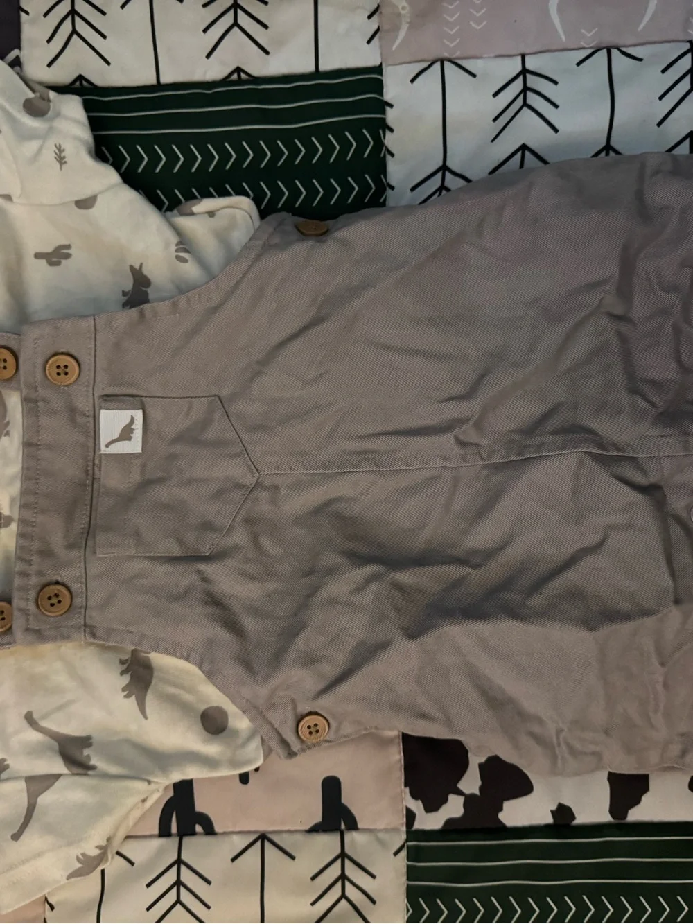 Carter's Cream Tee with Gray Dinosaur Print